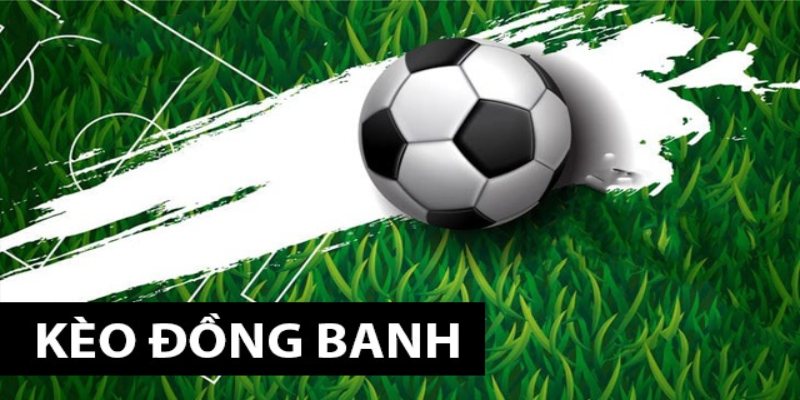 Nên phân tích những dữ liệu được đưa ra một cách kỹ lưỡng