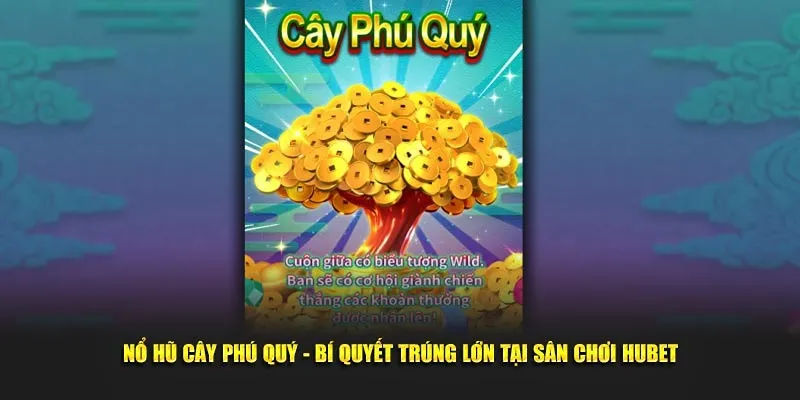 Bạn thoải mái chơi Demo nổ hũ Cây Phú Quý cho đến khi quen thì cược thật